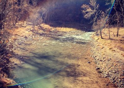 The Virgin River, Zion National Park, UT