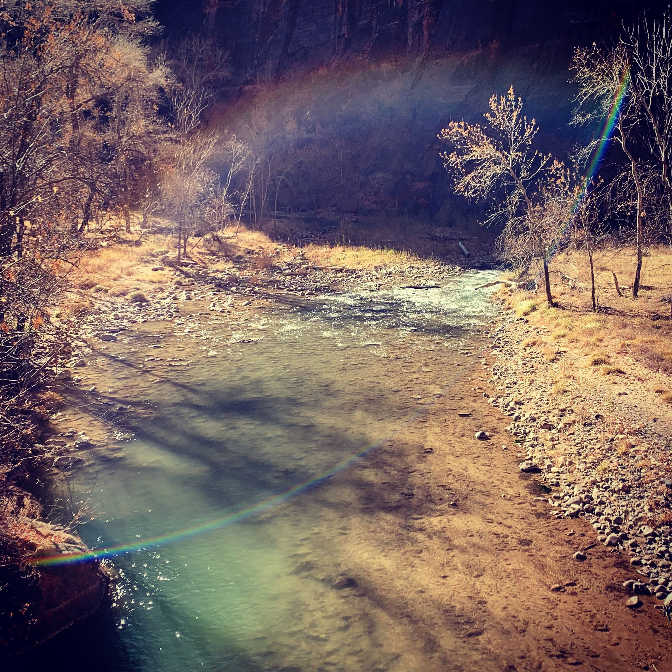 The Virgin River, Zion National Park, UT