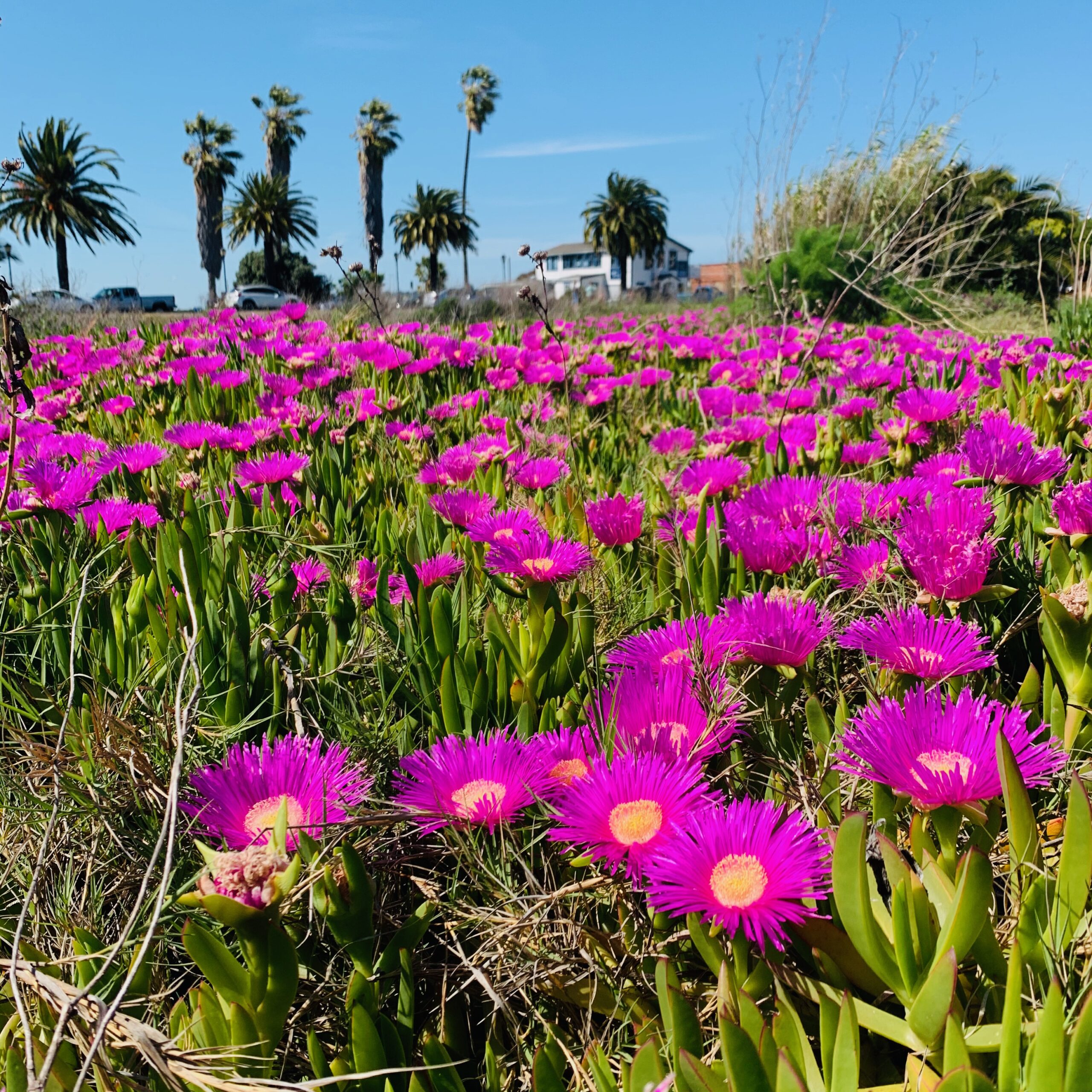 Benicia, CA