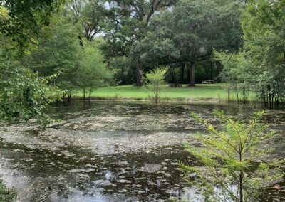 ‎⁨Bell Springs⁩, ⁨Suwanee River Valley⁩, ⁨FL