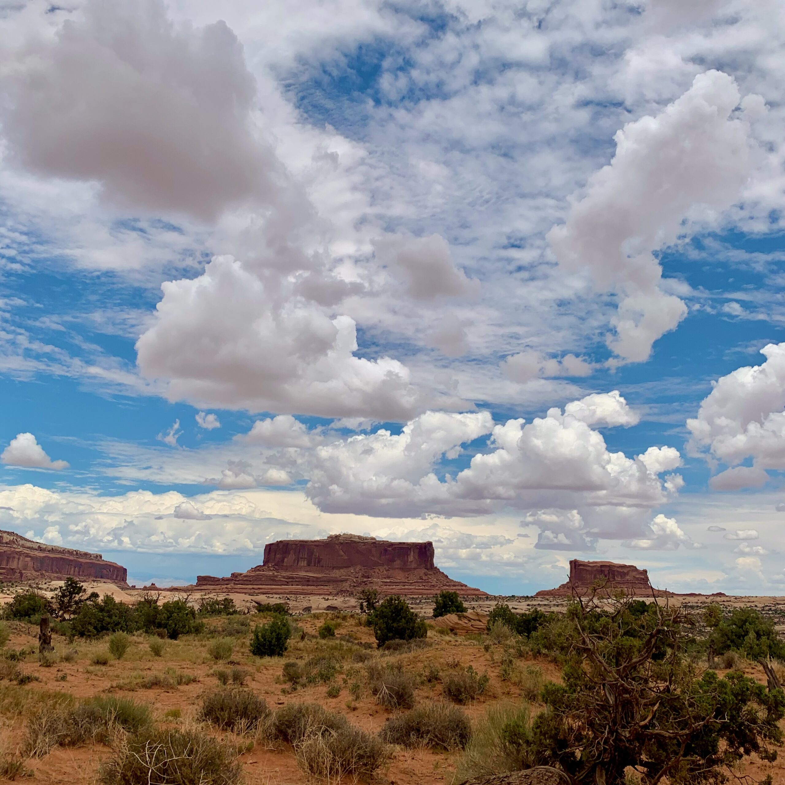 Moab, UT