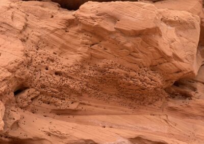 Red Rock Desert Garden, St. George, UT